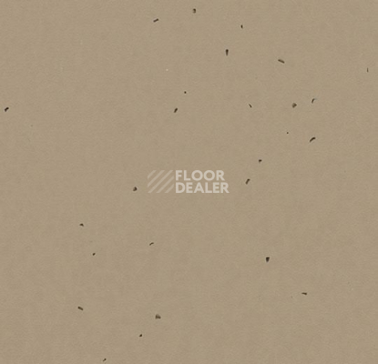 Линолеум Forbo Sphera Energetic 50209 nutmeg фото 1 | FLOORDEALER